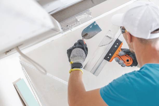 Best Drywall Sanding and Smoothing  in Lake Camelot, IL